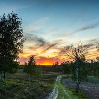 Abendstimmung auf der Töps Heideschleife