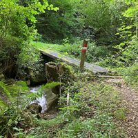 Losenstein-Hohe Dirn Trail