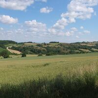 Blick Richtung Buschberg