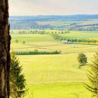 Ausblick aus dem Wald