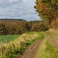 Weg ins Schwülmetal