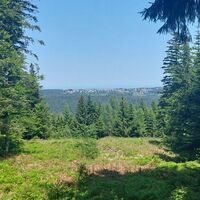 Ausblick von der Schirmhütte auf den Dobel