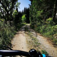 e-bike salzatal - tour_img_57947060