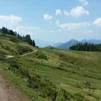 Griessener Alm Runde - Grießener Almen