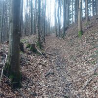 Weißn Trail - Nußbach