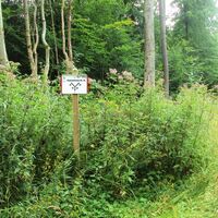 Salzgitter Höhenzug, Wanderwege 29 und 30 parallel