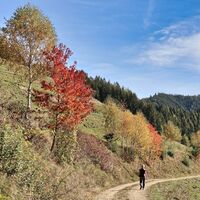 Der Weg führt gemütlich über freie Flächen mit Aussicht