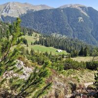 Von hier aus nochmal Blick hinunter zur Alm