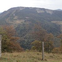 Auf der Hinteralm oberhalb der Sternleiten
