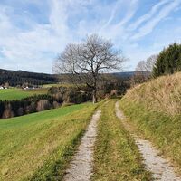 Fahrt Richtung Guglwald