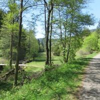 Am Brückle im Eyachtal
