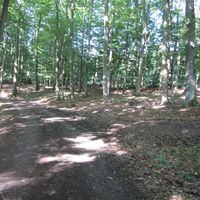 Naturnahe Wege