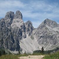 Bischofsmütze