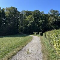 Über die Straße drüber und hier weiter leicht bergauf Richtung Dreimarkstein..