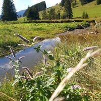 Mixnitzbach_Naturpark Almenland_Oststeiermark