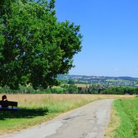 Karl-Maier-Bank mit Radweg und Blick Richtung Wittlensweiler und Hallwangen