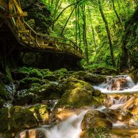 Johannesbachklamm
