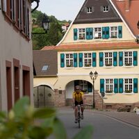 Stadt Wolfstein