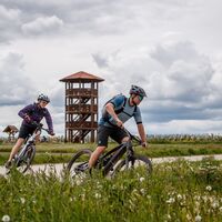 Keltenturm Sandberg Roseldorf
