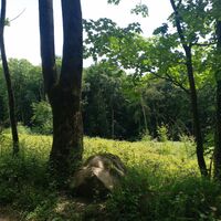 Karl-Bachler-Weg zwischen Hollenstein und Bad Salzuflen