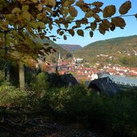 Blick vom ehemaligen Waldcafé