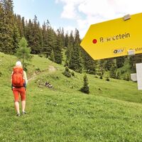 Auf der Fobisalm