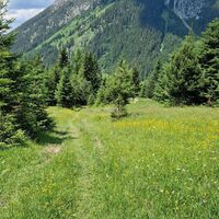 Unten dann zum Auslaufen schöne Wiesen und Waldlandschaft.