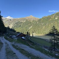 Nevesalm