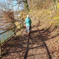 Rheinweg deutsche Seite nach Waldshut
