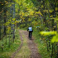 Mountainbiker auf dem Weg im Naturschutzgebiet Koukkelonvaara