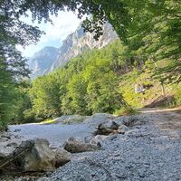 am Forstweg weiter