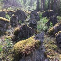 Vilkaharjus Naturpfad, Steinbarrieren der Salpa-Linie
