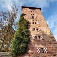 Waldschulheim Burg Hornberg