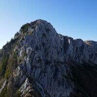 Der Große schon im Visier