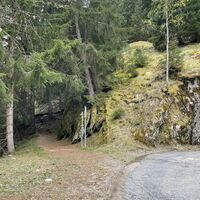 Abzweigung Strasse in den Rischinerwald