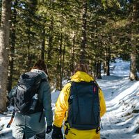 Weg - Winterwanderweg Selibühl