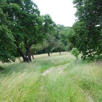 bei der Gsängerhütte