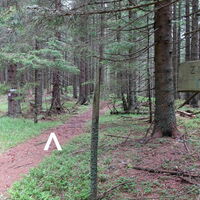Wanderweg/-steig Ziereck