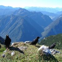 Blick ins Koppental