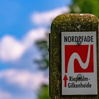 Logo des NORDPFADES Riepholm-Gilkenheide