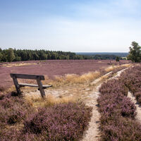 Wietzer Berg