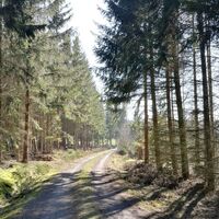 Remptendorf - Ruhteich - Friesauer Hügel