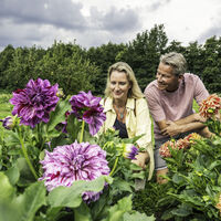 Blütenpracht in den Luhegärten in Winsen