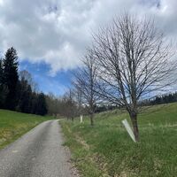 Anstieg bei Motzgatsried