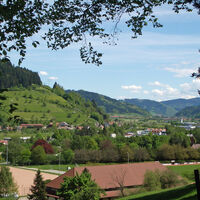 Blick ins Kinzigtal