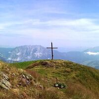 pleschnitzzinken_img_17029740