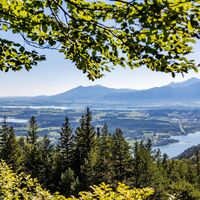 Seen-Panorama mit Hopfensee, Weißensee und Forggensee