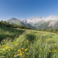 Blick ins Val Tavrü