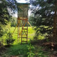 Hochstand am Rand des Sonnenmättlemoos