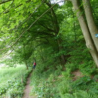 Natursteig Sieg Etappe 11